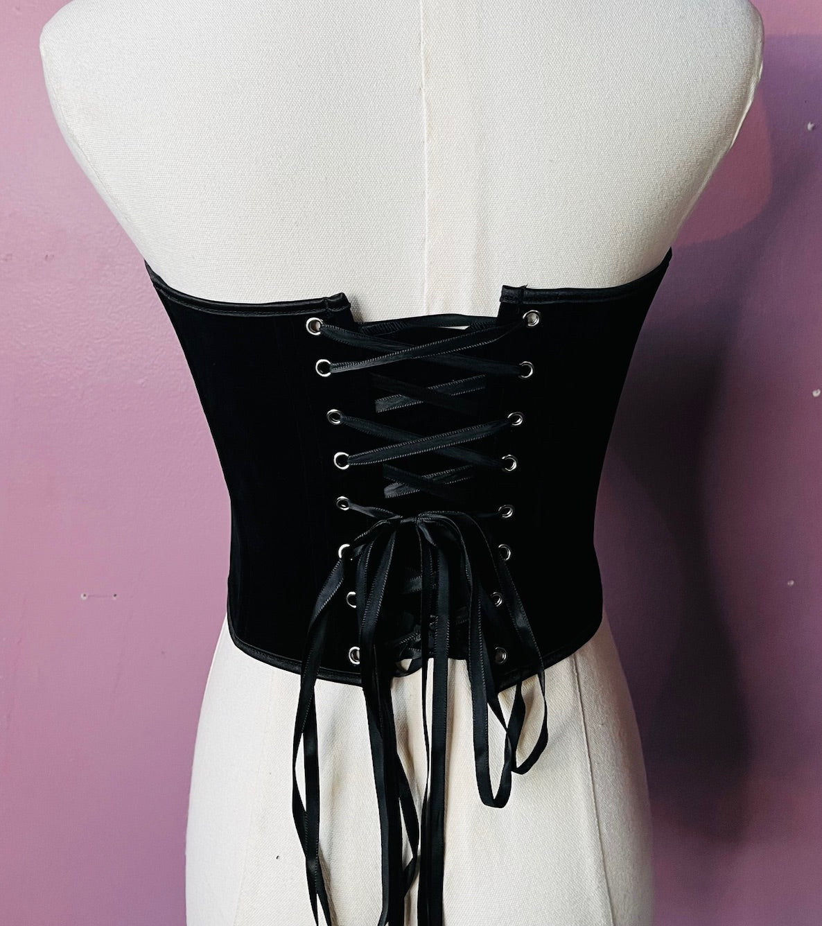 The Poe Corset - Pointed Velveteen Waist Cinching Corset - Pre-Order
