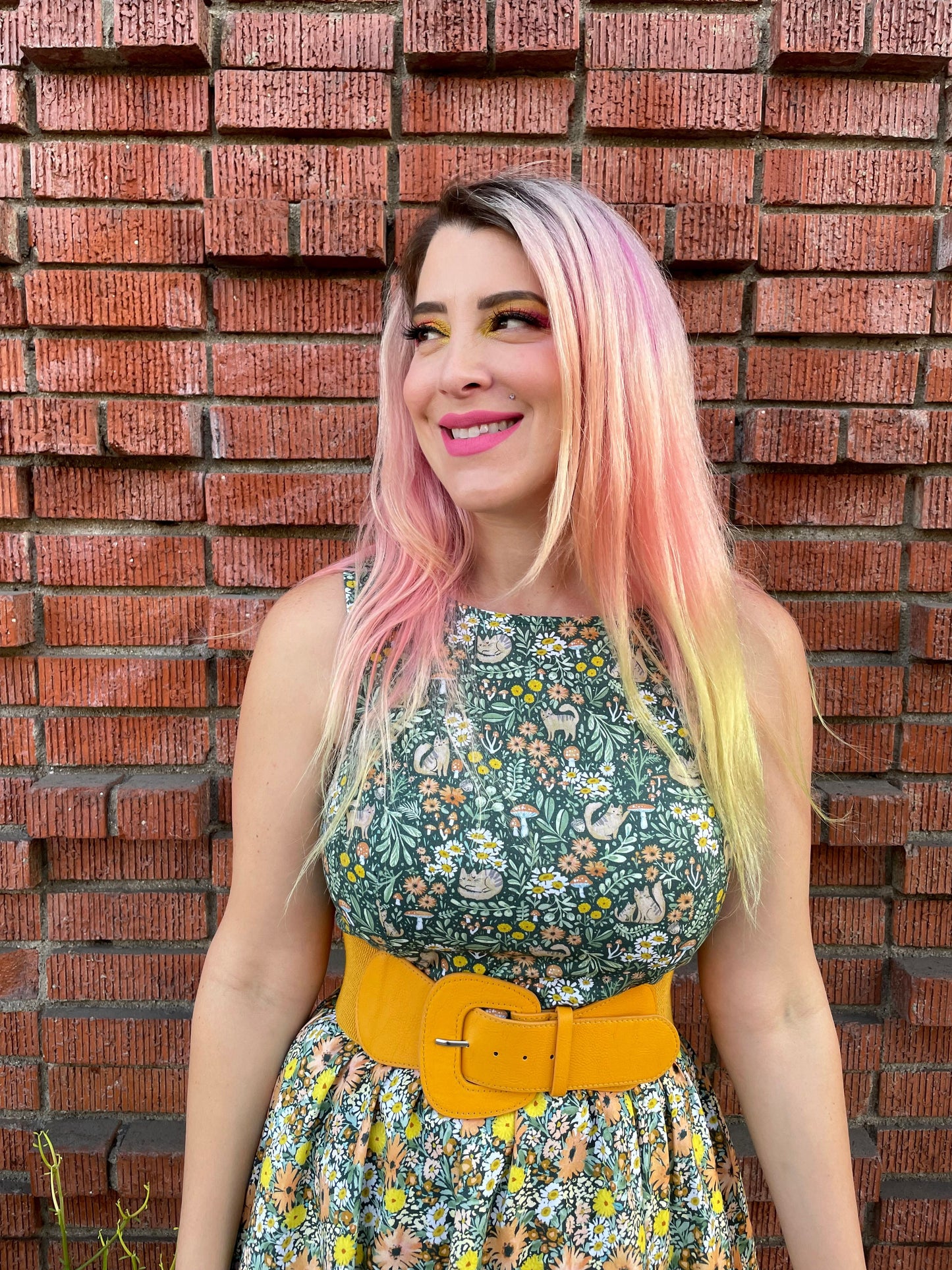 Cats in the Fields Twofer Dress - Plus Sizes only