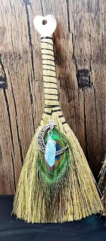 Mini Witch Peacock Crystal Moon Alter Brooch