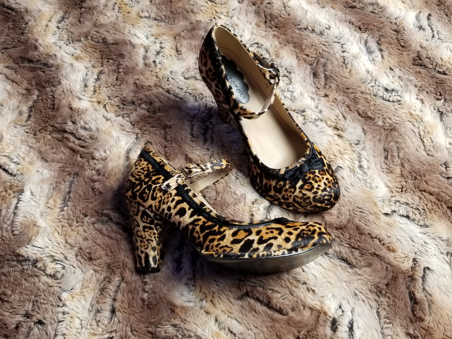 Leopard Pinup Heels by Cristofoli