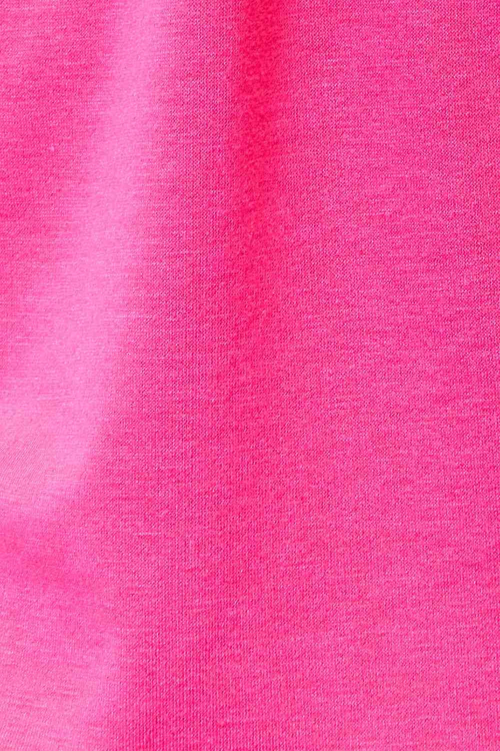 Animal Print Reindeer Raglan Top in Pink